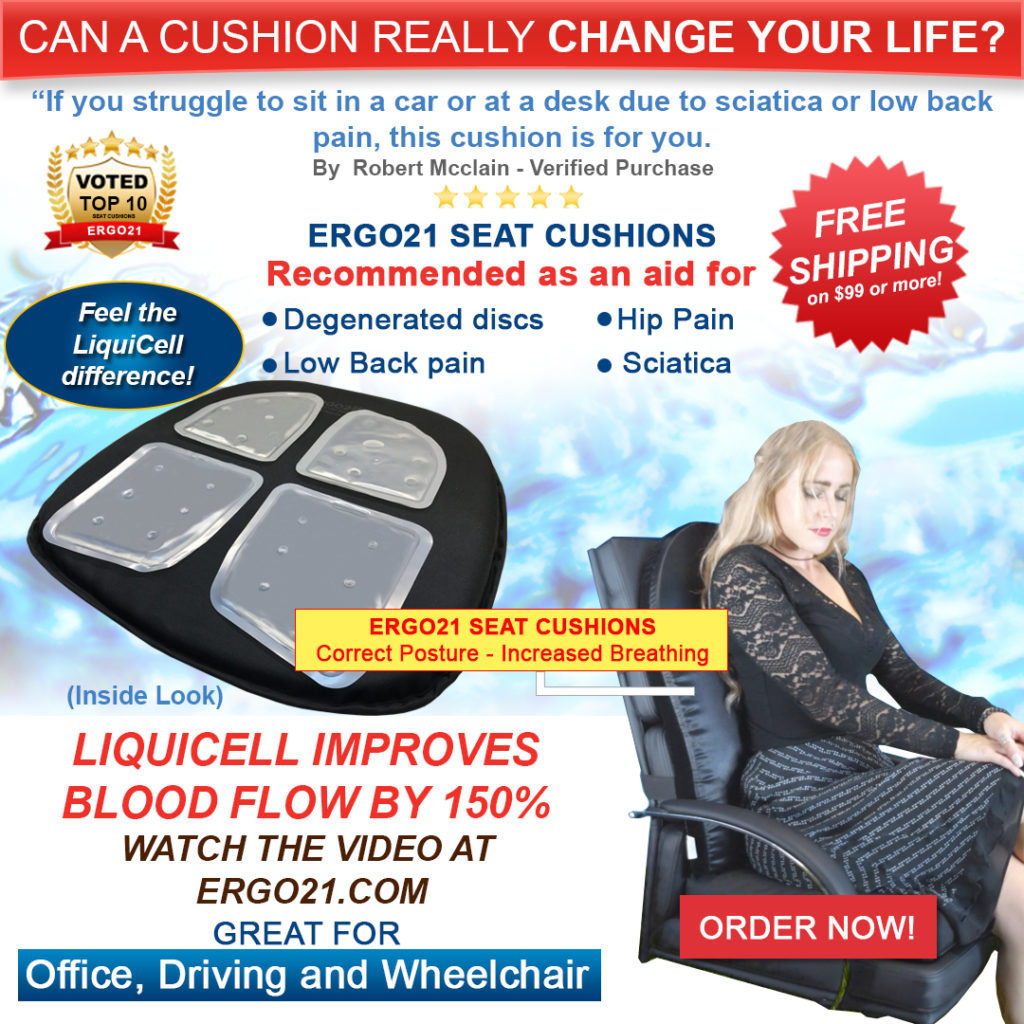 Ergo21 Seat Cushions