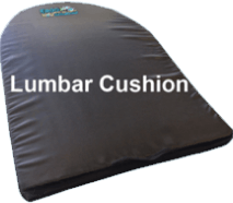 ERGO21 Lumbar Support Cushion