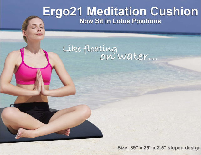 Ergo 21 Meditation Cushions