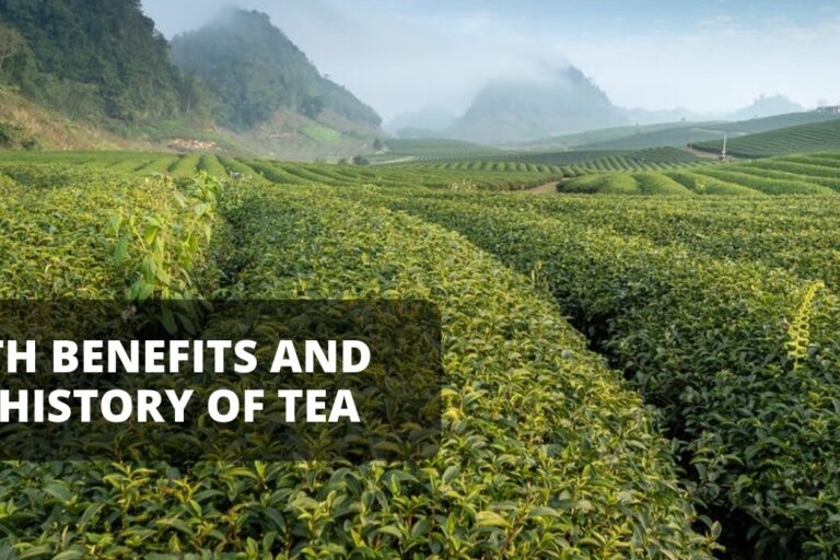 Health Benefits and Brief History of Tea