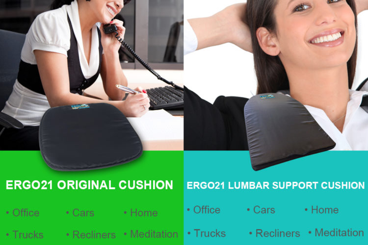 Ergo21 - Original and Lumbar combo cushions