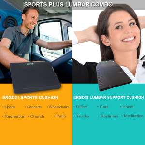 sports and lumbar seat cushion combo