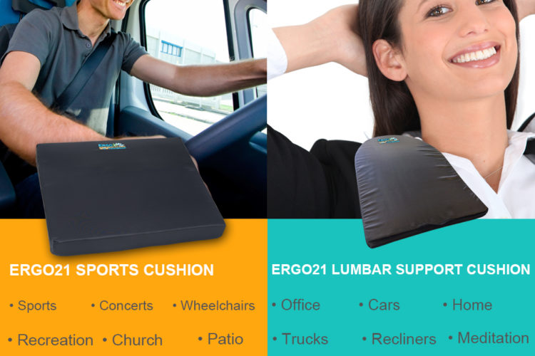 sports and lumbar seat cushion combo
