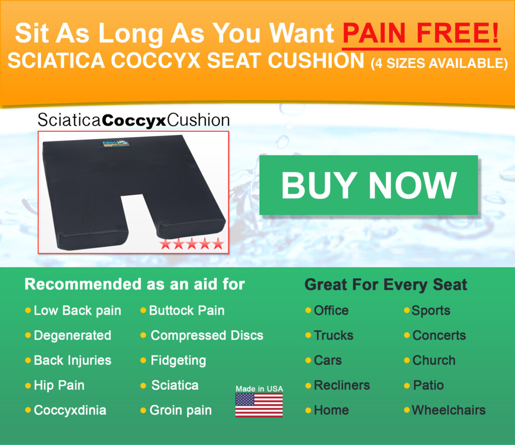 https://www.ergo21.com/wp-content/uploads/2015/08/Sciatica-seat-cushion-1024x884.jpg