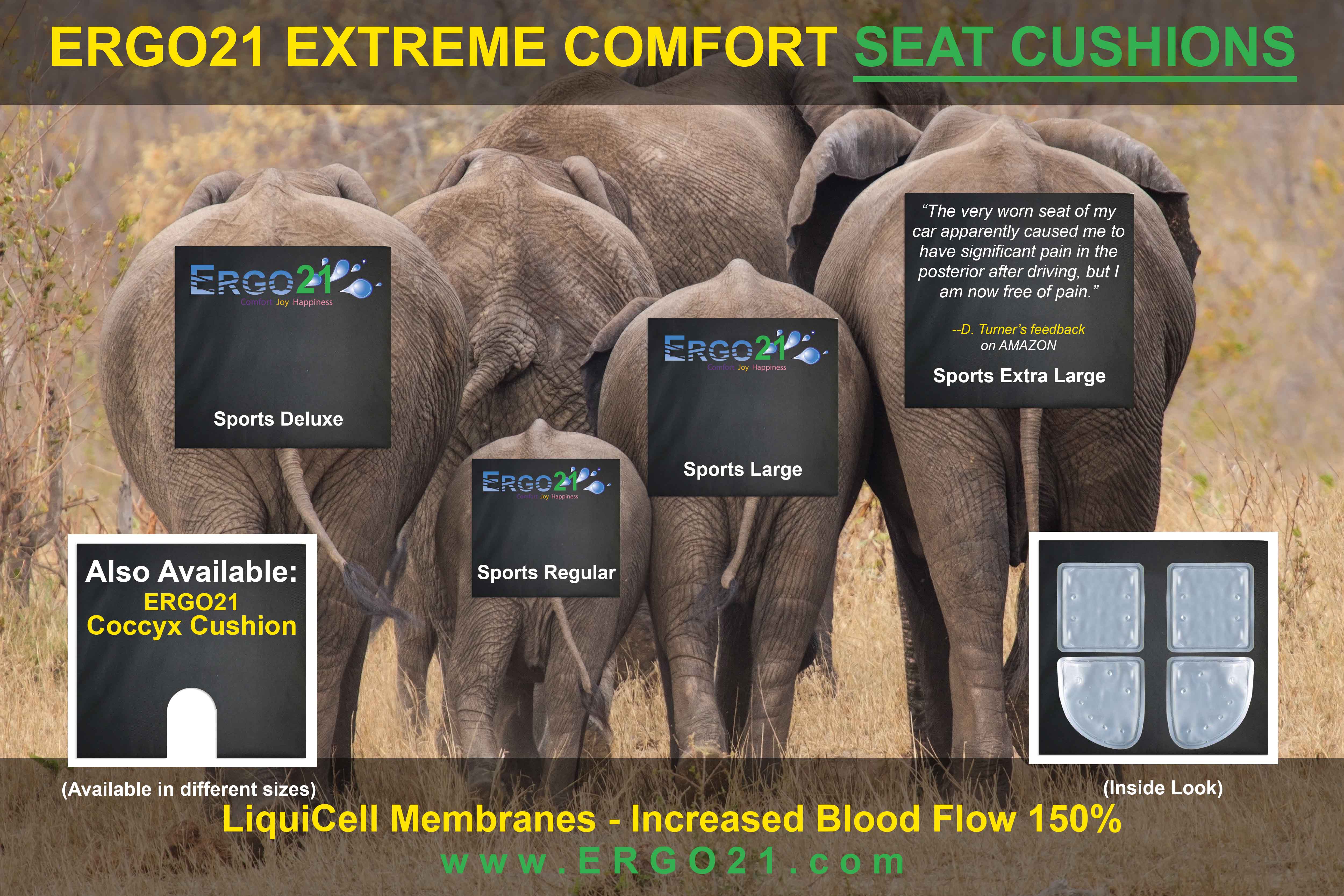 Ergo21 Seat Cushions with LiquiCell Technology, Available in