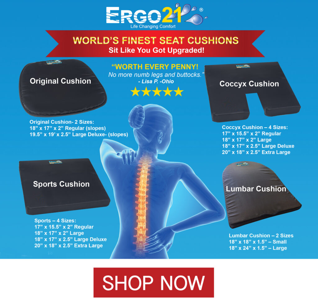 Ergo21 Travel Seat Cushion for Airplane, Car, Truck, Long Flights & Drive |  Must Have Travel Accessories for Long Trips | Foldable Butt Pillow for