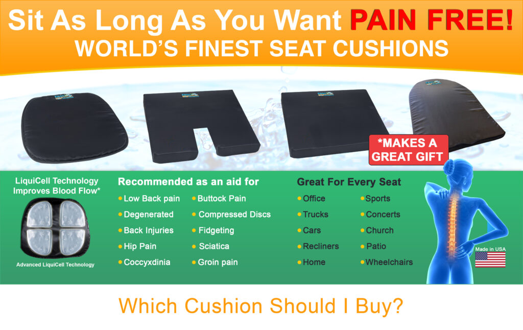 Lumbar Support Cushion for Chair, Immediate Relief