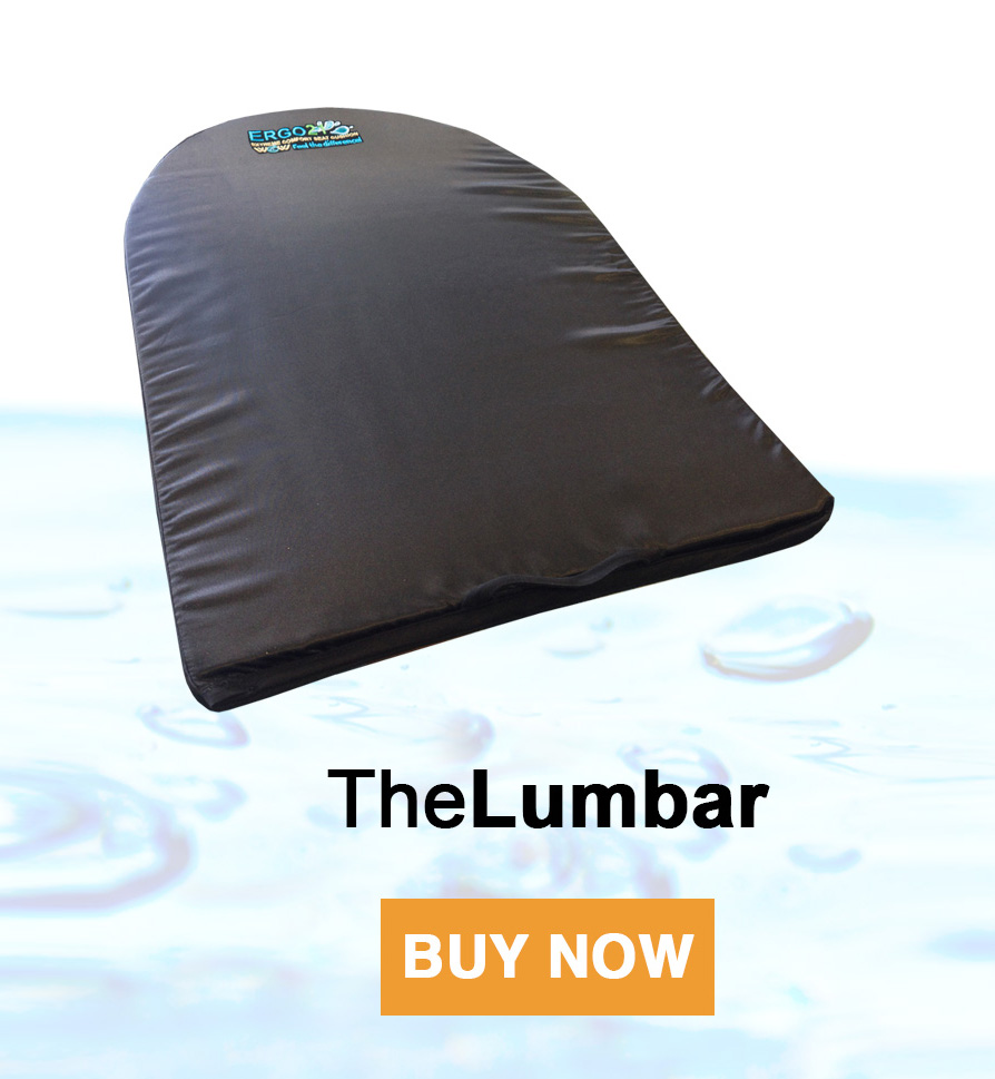 Lumbar Cushion