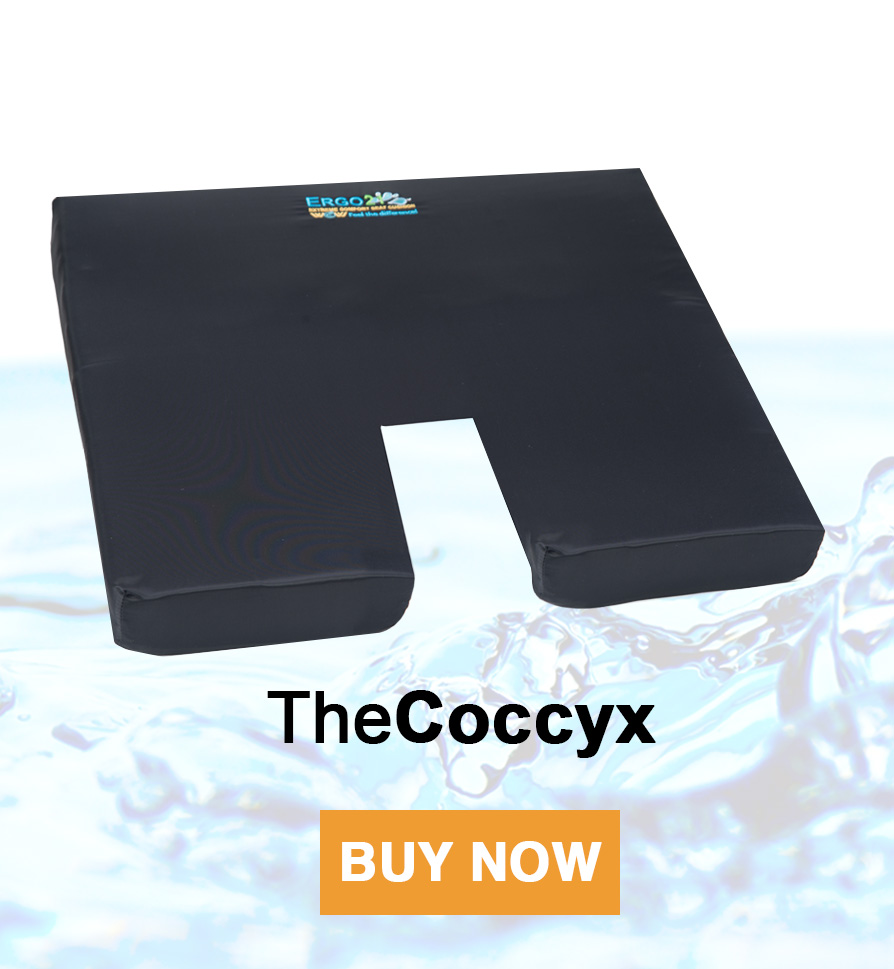 Coccyx Cushion