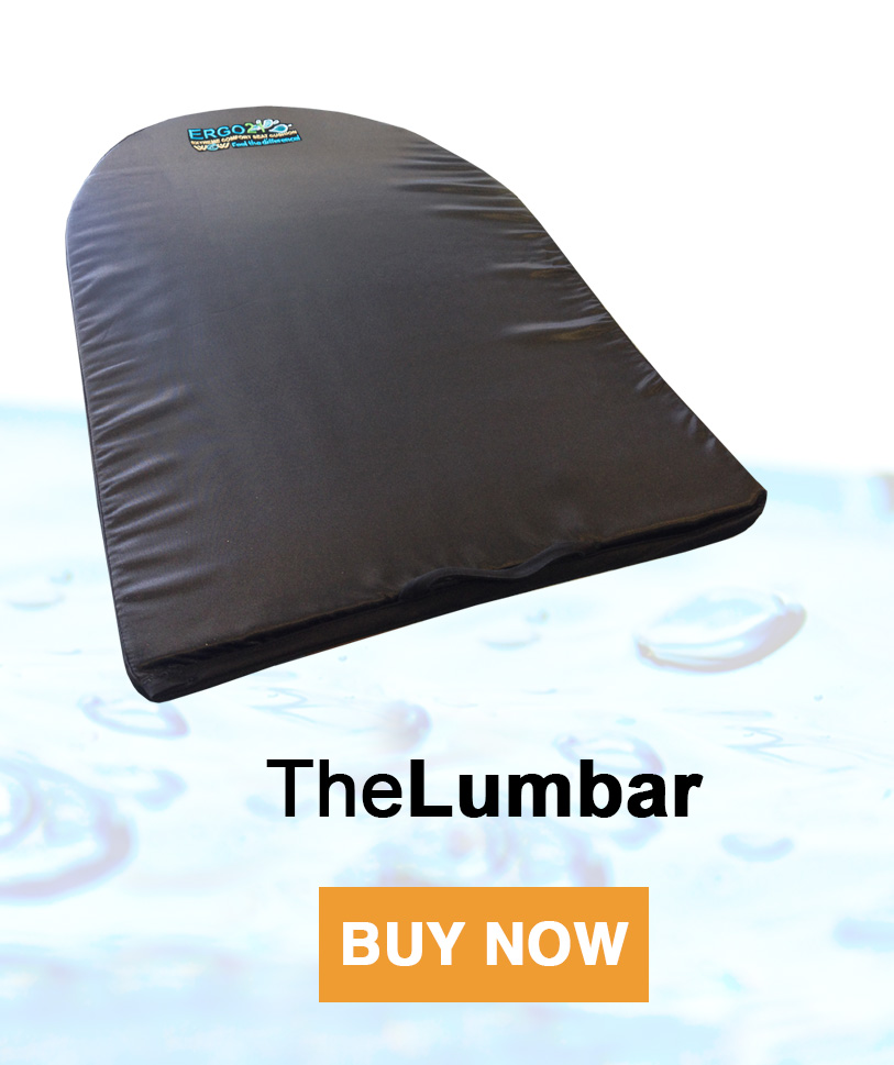 Lumbar Cushion