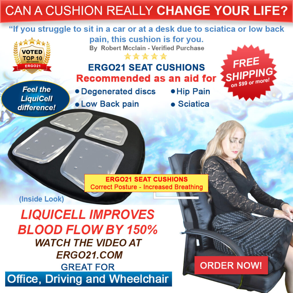 4 Inch Extra Thick Seat Cushion, Dual Layer Memory Foam Chair Cushions,  Comfort Seat Cushions for Office Chair, Desk Chair,Butt Back Pain Sciatica