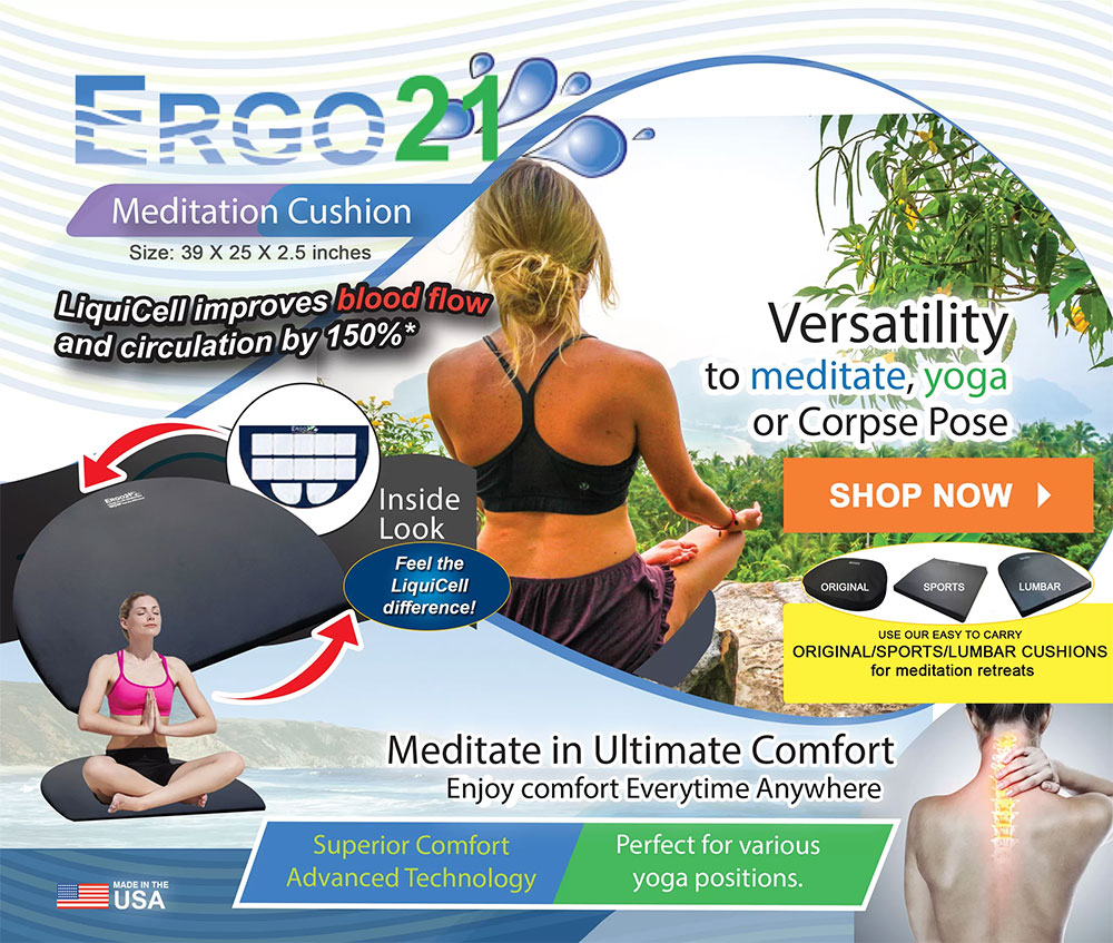 Meditation cushion 