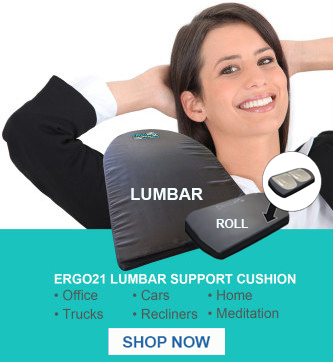 Lumber Support Cushion