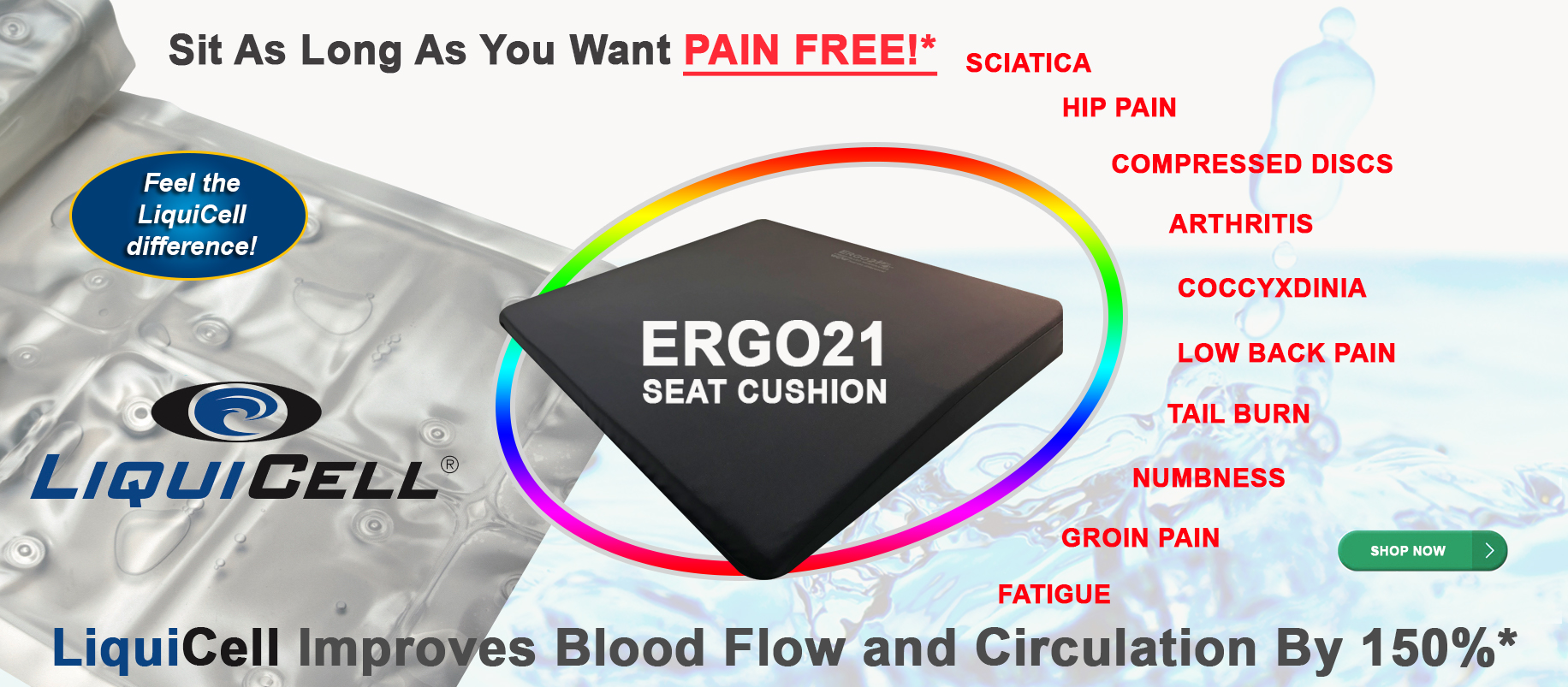 Seat Cushions for Arthritis Hip Pain and Arthritis Sufferers - Ergo21