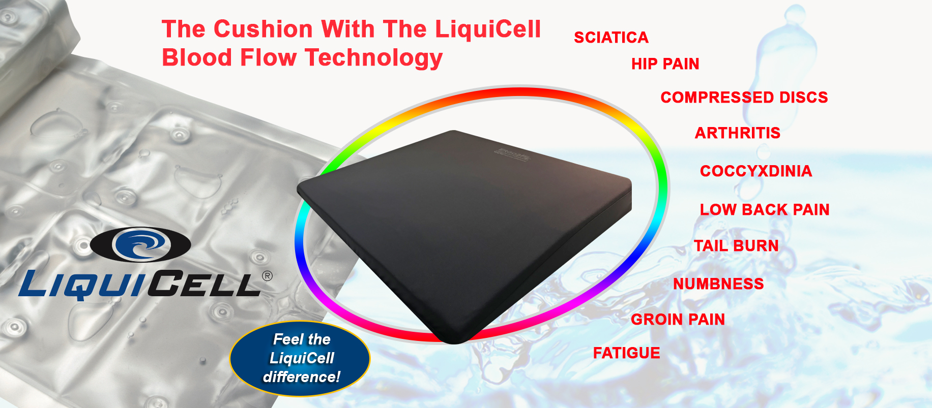 Seat Cushion With LiquiCell