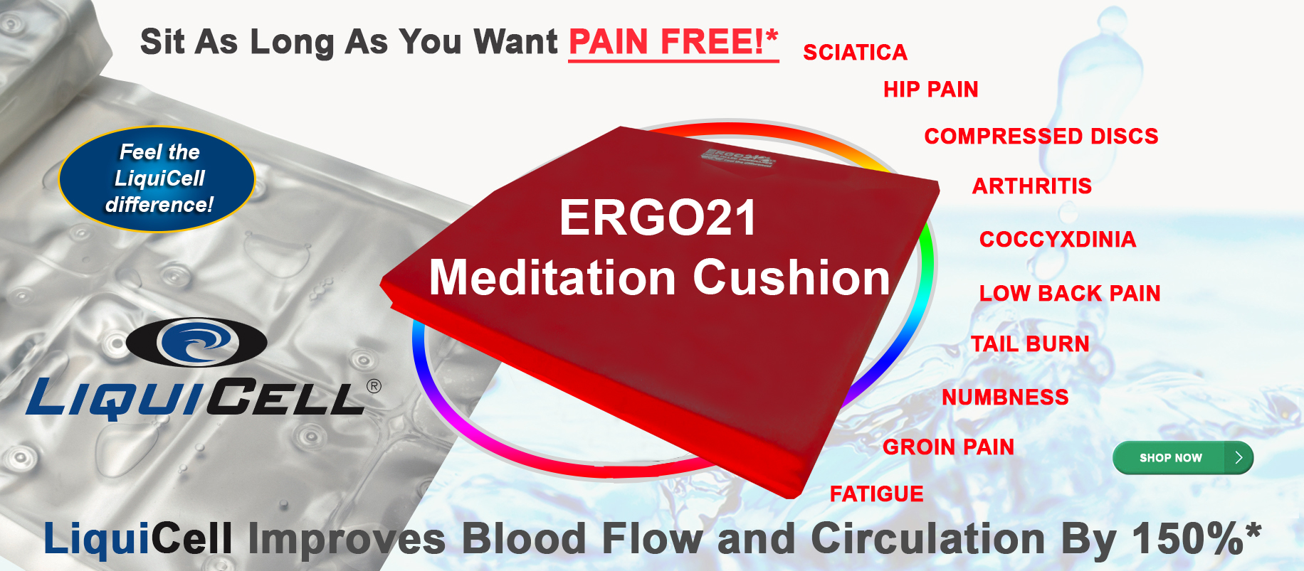 Ergo21 Meditation Cushion