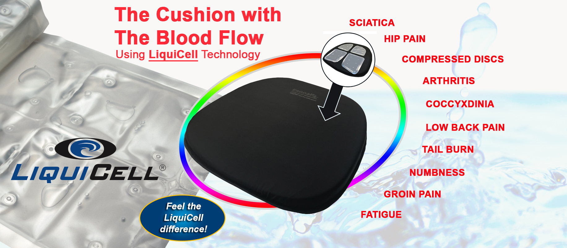 Ergo21 cushion with blood flow technology