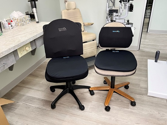 Why Should You Invest in a Lumbar Support Cushion for Your Office Chair? -  Ergo21