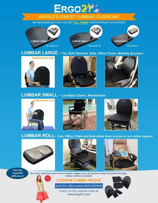 Why Should You Invest in a Lumbar Support Cushion for Your Office Chair? -  Ergo21