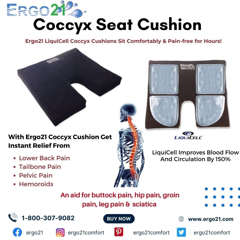 Excellent Coccyx Seat Cushion for Sciatica and Back Pain Relief - Ergo21