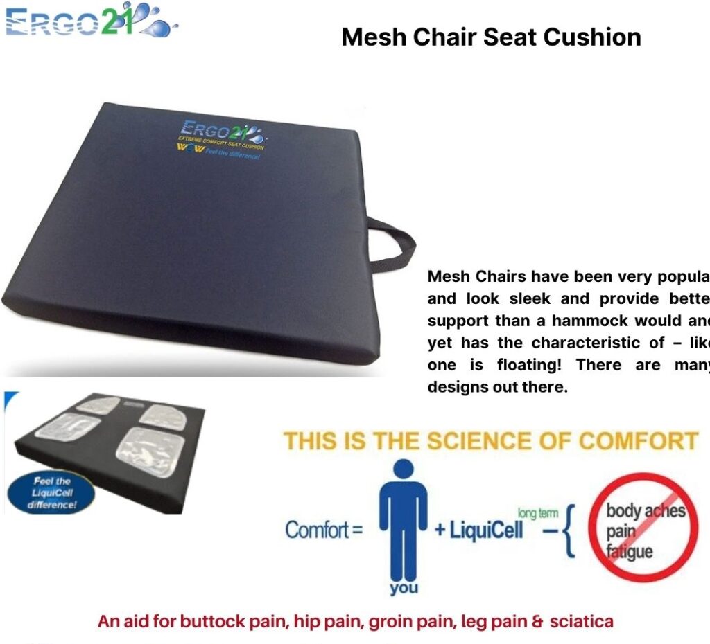 comfilife seat cushion - Ergo21