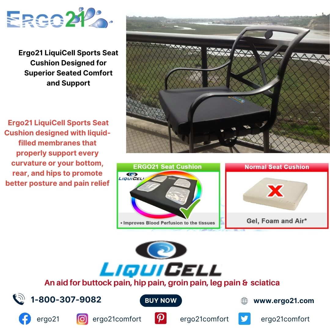 Why Should You Invest in a Lumbar Support Cushion for Your Office Chair? -  Ergo21