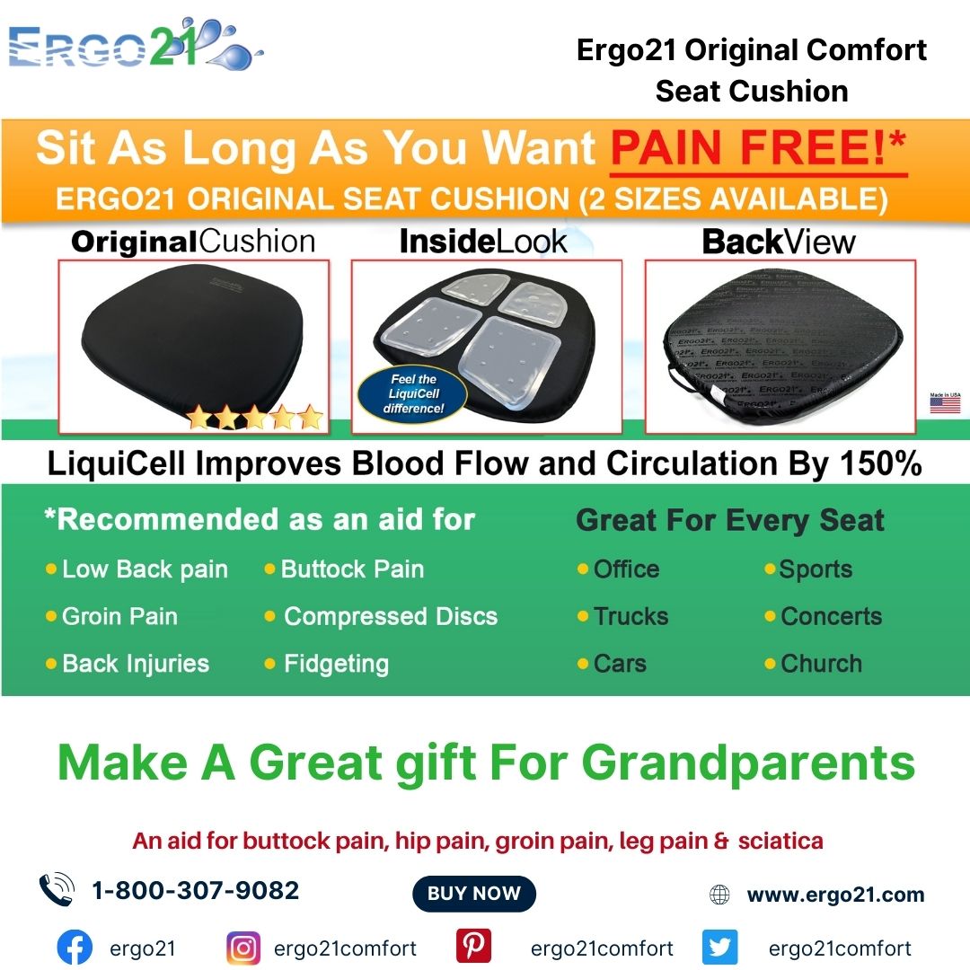 Everlasting Comfort Seat Cushion & Lumbar Support Pillow Combo (Patented) -  Chair Pads Reduce Tailbone Pressure & Improve Back Comfort - Multi-Use Gel