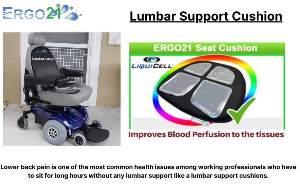 lumbar support cushion