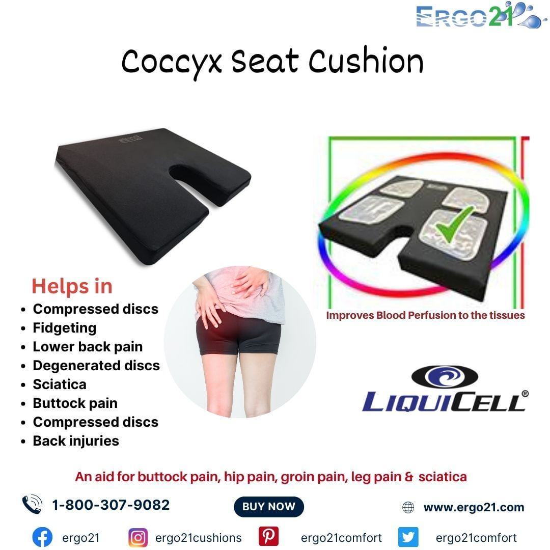 5 Ways Coccyx Cushion Helps Relieve Tailbone Pain - Ergo21