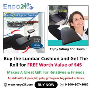 Lumbar Support Cushions, Ergo21