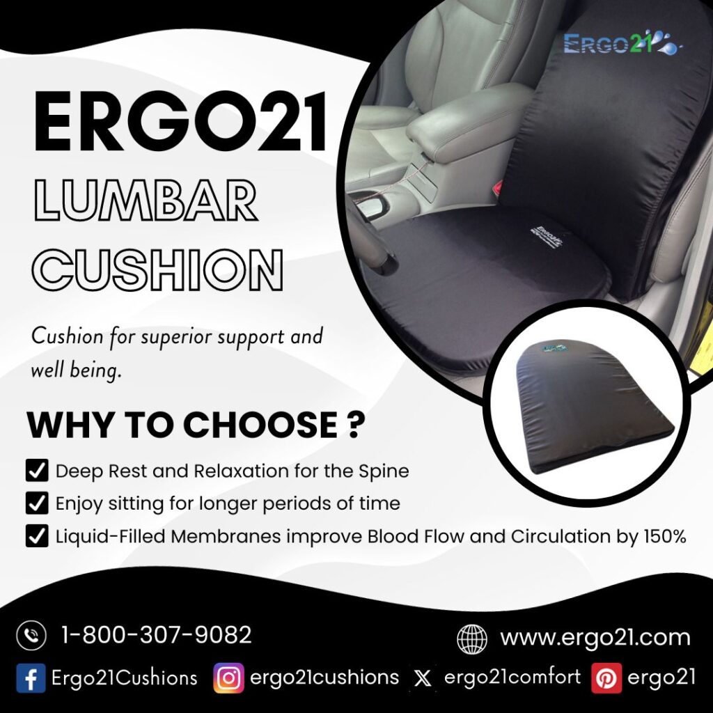 Lumbar Support Cushion for Office Chair - Suitable For Lower Back & Hip Pain  Ergo21 Featured Article