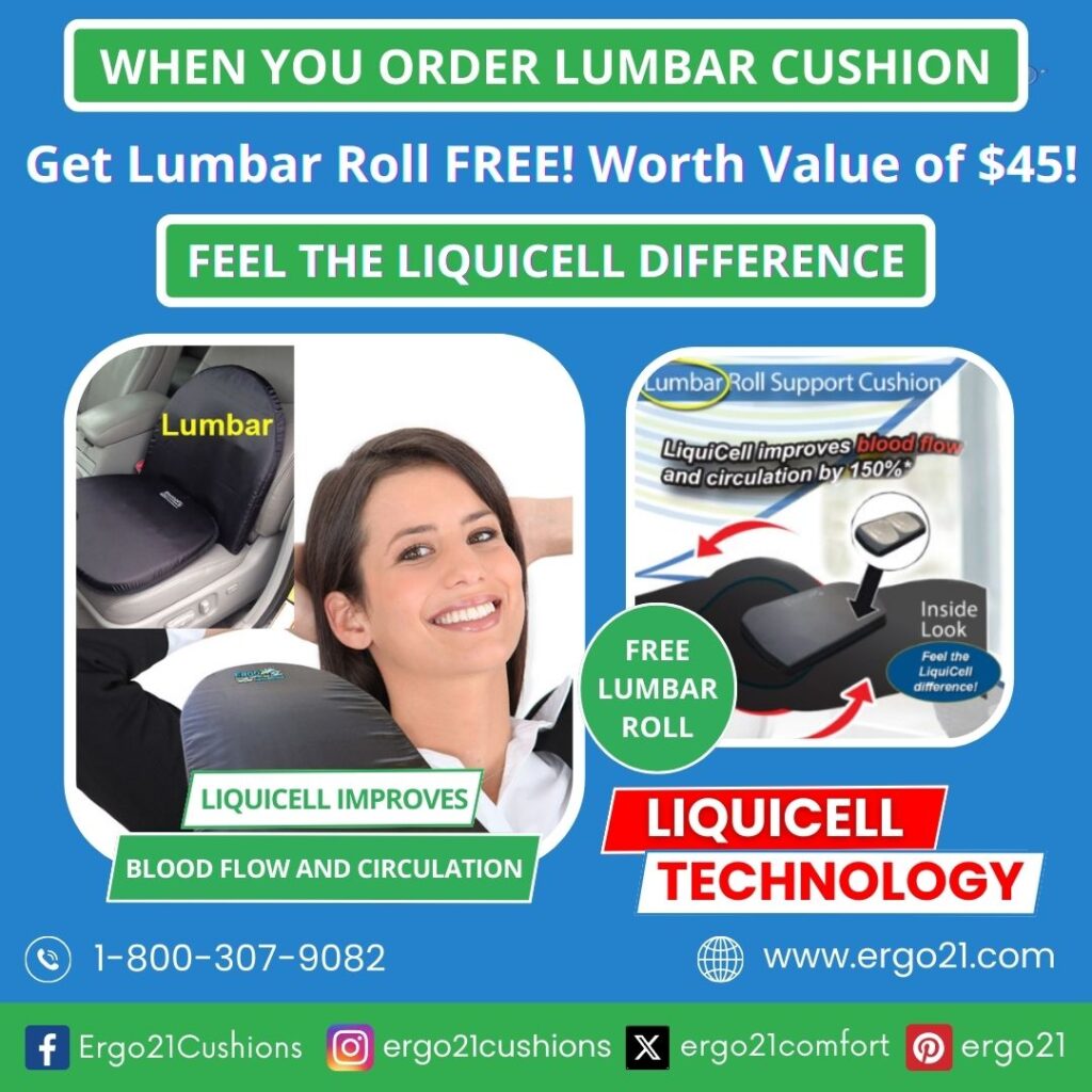 Ultimate Lumbar Seat Cushions for Back Pain Relief Ergo21