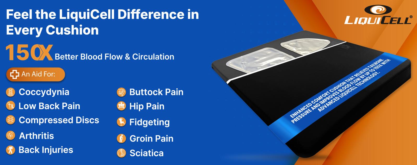 Sports and wheelchair cushion