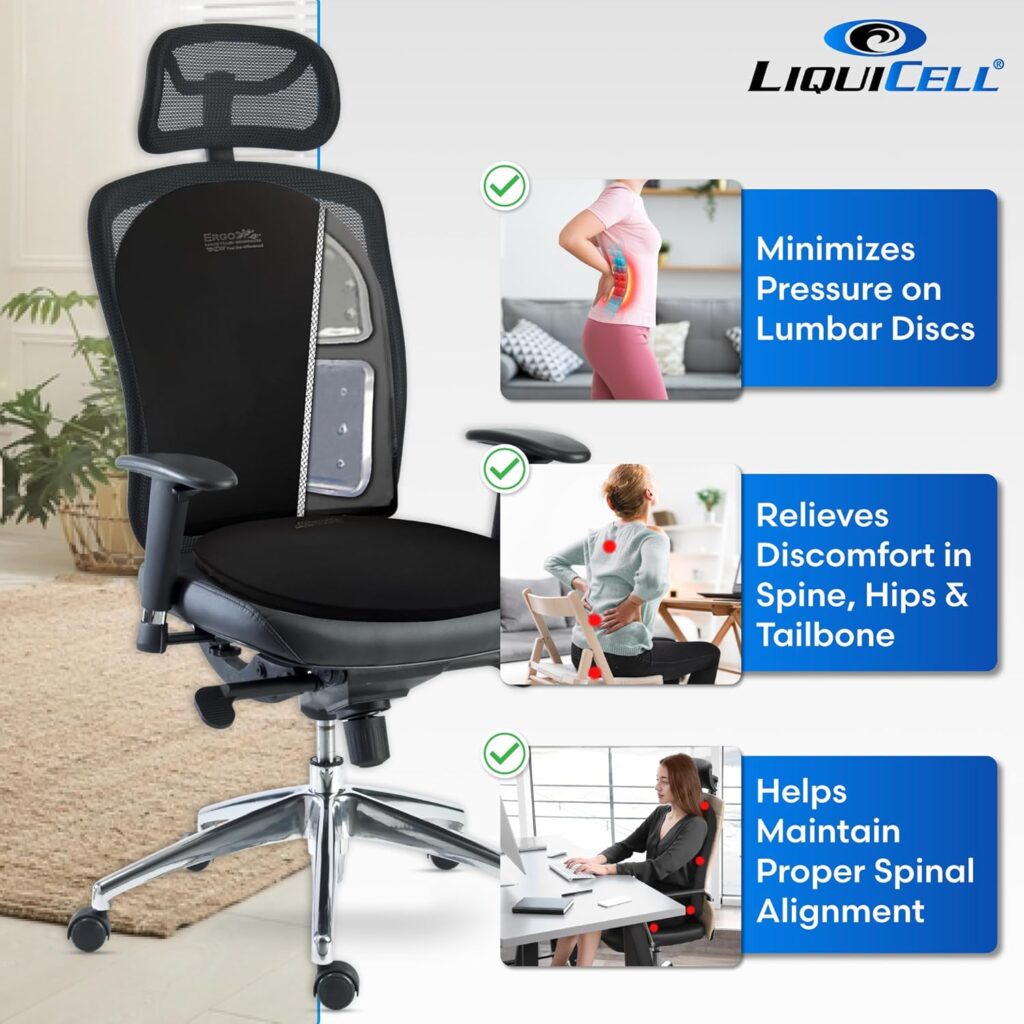 Lumbar Support Cushion